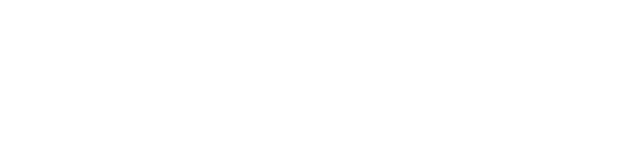 NATSILS, open in a new window